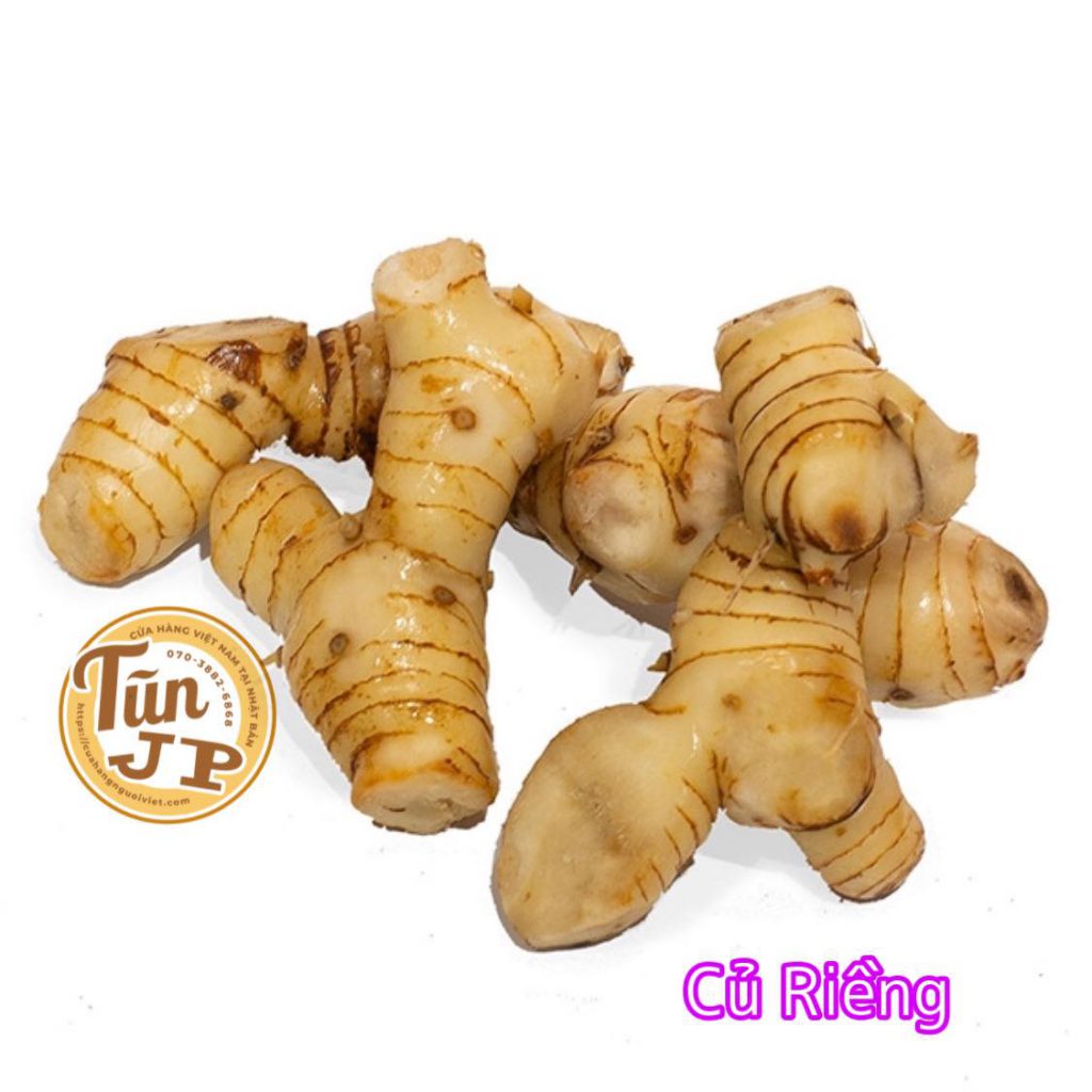 Củ riềng tươi (Đông lạnh) – Cửa Hàng Người Việt Tại Nhật Bản
