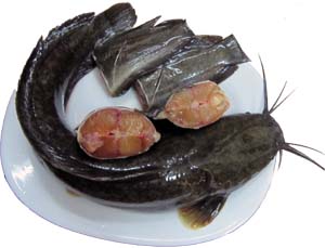 Cá Trê Cắt Khúc 500g – Cửa Hàng Người Việt Tại Nhật Bản