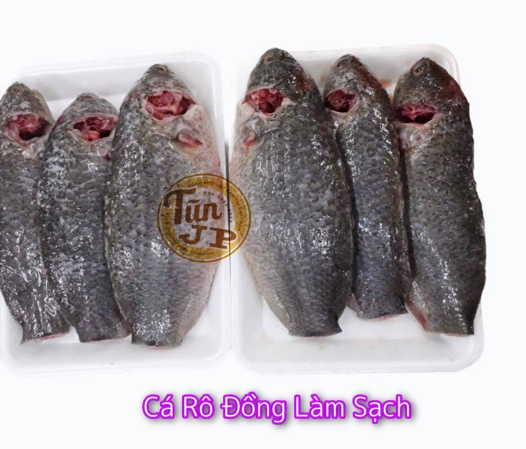 Cá Rô Đồng / Vỉ 500G – Cửa Hàng Người Việt Tại Nhật Bản